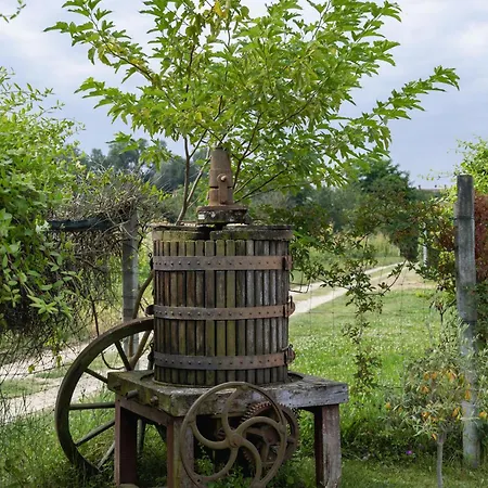 Bed & Breakfast La Cantinella *