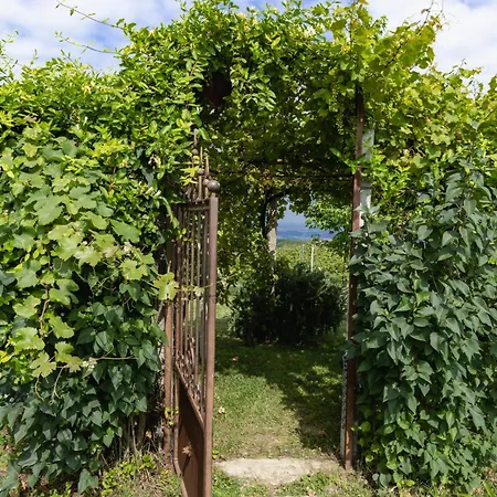 Bed & Breakfast La Cantinella
